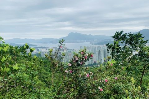 會員活動
