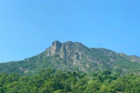 香港:重大疫情&重大機遇(地產篇)