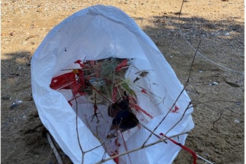 親身清潔海岸垃圾,共同保護我們的家園!