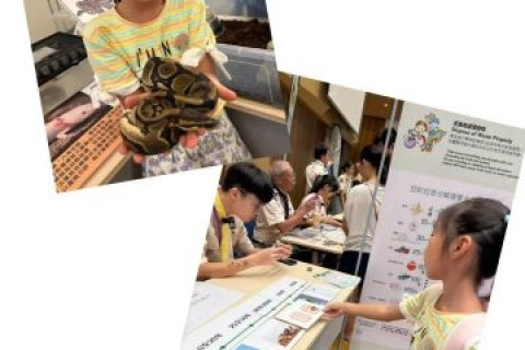 親子共探生態奧秘!香港優才及專才協會家庭深度打卡得港童軍總會「大潭